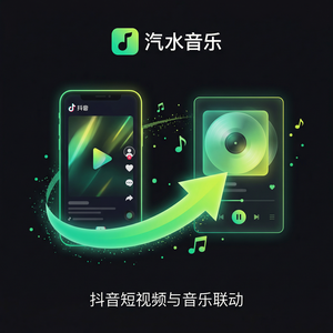 汽水音乐功能路线图说明